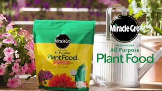 How to Use Miracle-Gro® Water Soluble All Purpose Plant Food by Miracle-Gro 21,284 views 2 years ago 57 seconds