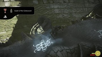 SHADOW OF THE COLOSSUS Scaler of the Colosseum trophy