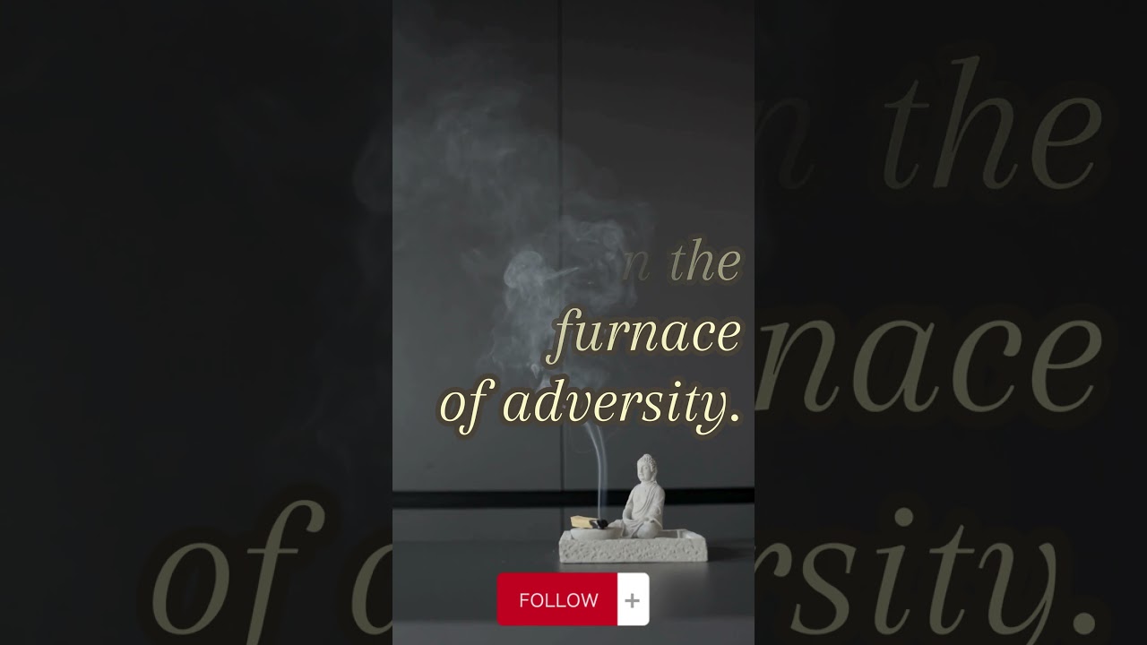 Wise words, philosophical words, words, thought provoking words, 