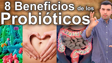 ¿Ayudan los probióticos con la doxiciclina?