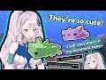 Reine Acted So Adorable When She Found The New Minecraft 1.17 Axolotl【Hololive ID / Pavolia Reine】