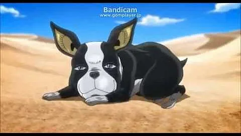 イギー ジョジョ