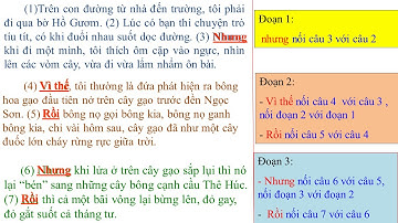 LTVC 5      Liên kết các câu trong bài bằng từ ngữ nối     tuần 27