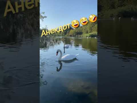 Анекдот про Вовочку и Деда🤣#Shorts #Юмор #Анекдоты #Шутки #Смешной юмор #Прикол #Смех 👍