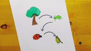 رسم السلسله غذائيه 1|| food chain drawing