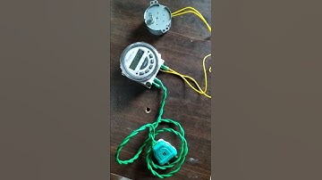 eggs Turner timer and motor