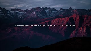 5 Seconds Of Summer - Want You Back (Lyrics/Lyric Video)