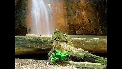 سورة ياسين بصوت القارئ أحمد أبو هاشم النوري