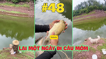 Lại Một Ngày Đi Câu Móm | Thử Thách Câu Cá Không Đồng Ngày 48 - Anh Triệu