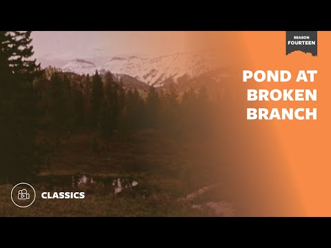 The Pond at Broken Branch | Mutual of Omaha's Wild Kingdom