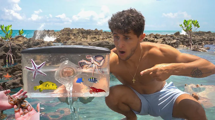 Tide Pool FISH TRAP Catches EXOTIC SEA CREATURES!!