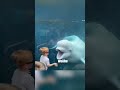 Funny aquarium videos 🤣🤣#funny #foryou #funnyvideos #typ #animals #aquarium