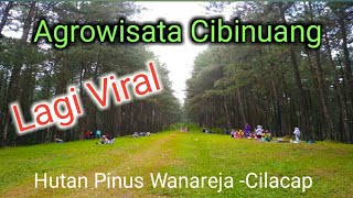 Wisata Alam Cibinuang -Gunung Geulis -wanareja - Hutan yg Eksotis. #safeafamily