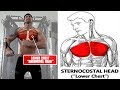 5 Forgotten LOWER CHEST Exercises For PERFECT Pecs