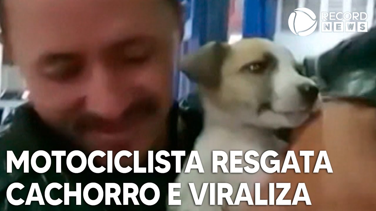 Motociclista resgata cachorro na rua e vídeos viralizam