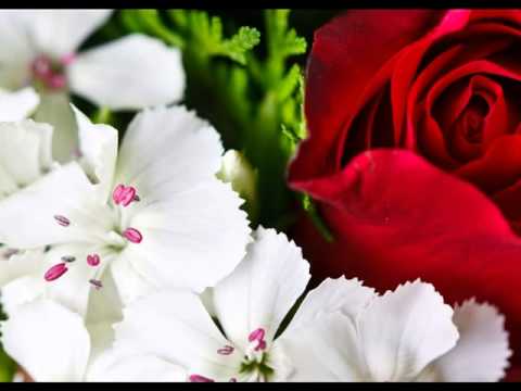 ابتهال نادر للشيخ نصر الدين طوبار تسجيل قديم