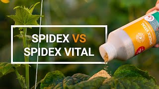 Spidex vs Spidex Vital NL - Tim Bossinga, Productmanager Macrobials