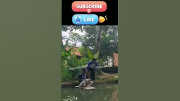 Reactjs vs CSS Devs Be Like #coding #code #javascript #python