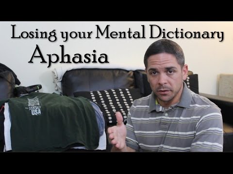 Losing your Mental Dictionary: Aphasia