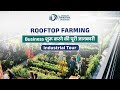 Rooftop farming || Organic Farming Solution || IID in Association with Living Greens