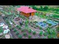 Sang Vy built a walkway for the garden with natural stone and planted 40 rose trees - Sang vy garden