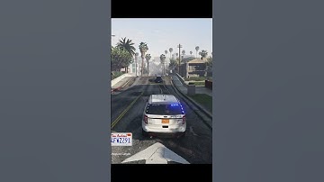 SLOW DOWN! Otherwise THIS Happens! LSPDFR GTA5