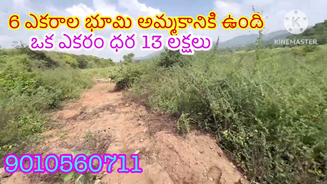 6 ఎకరాల భూమి అమ్మకానికి ఉంది ఒక ఎకరం ధర 13 లక్షలు జనగామ జిల్లాకి 25 km వరంగల్ హైవేకి 13 km9010560711