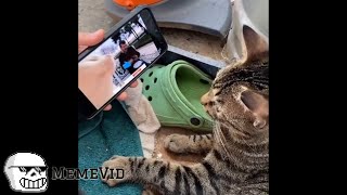 MEMEVID COMPILATION #7