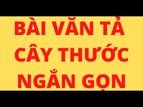 Tả một đồ dùng học tập mà em thích | BÀI VĂN TẢ CÂY THƯỚC NGẮN GỌN