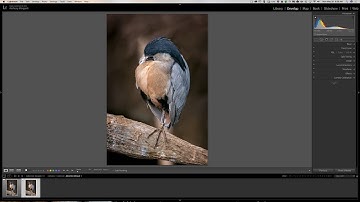 Lightroom Quick Tips - Episode 111: Lock Zoom Position