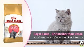 Корм для британских короткошерстных котят от 4 до 12 месяцев · Royal Canin British Shorthair Kitten Корм для британских короткошерстных котят от 4 до 12 месяцев · Royal Canin British Shorthair Kitten