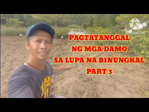 KAPINOY/PAGTATANGGAL NG MGA DAMO SA LUPA NA BINUNGKAL PART 3