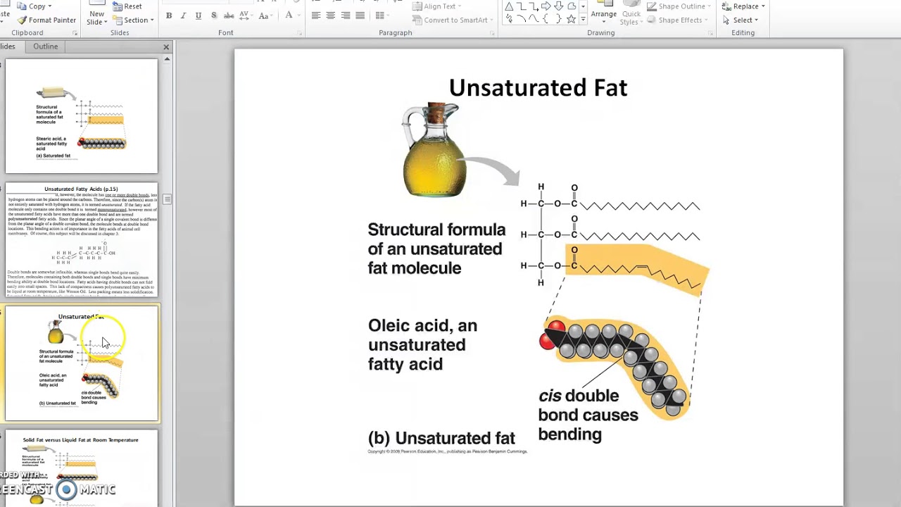 Fatty Acids and Triglycerides YouTube