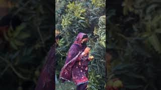 Baghon mein phir choly par gye 🥰|New viral video |Gaon ka mahool |Sultan Baloch