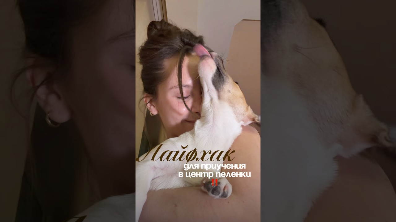 Если бы надо выбрать только одну вещь—я бы выбрала спрей для приучения с вб 