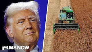 Trump admin is 'out of touch' with American farmers: Soybean farmer