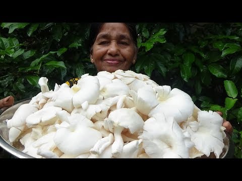 kfc-style-fried-mushroom-prepared-in-my-village-by-my-mom-/-village-foods