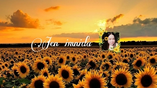 Jen imnida Live Stream