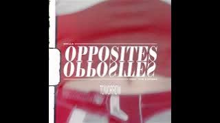 OPPOSITES - SHILLA  ft. NAE KINTANA ( Trailer)