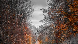 Ateş Başında Dinlenecek, Huzur Verici Rahatlatıcı Müzik