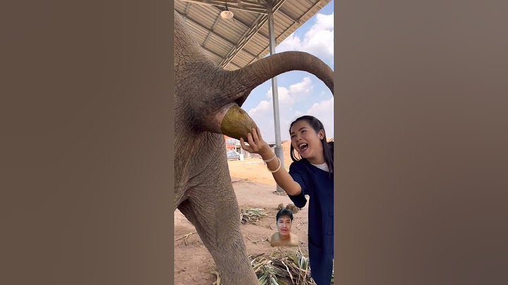 She using her hand to catch elephant poop 💩