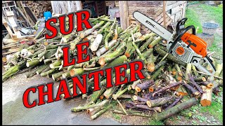 on part au taf, abattage noisetier et cerisier ! ( récup' des tuteurs pour tomates!! )