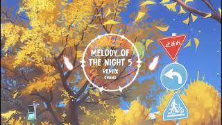 Melody Of The Night 5/夜的钢琴曲5 Remix (CHANG)