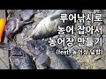 손맛 입맛 모두 최고인 농어를 잡아서 농어장을 만들어보자