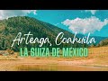 Video de Arteaga