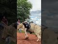 Treino Cia 5 Estrela / Prévia 🔥