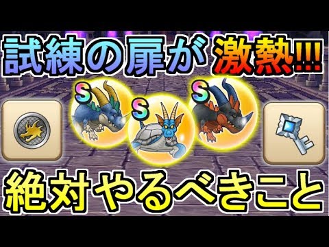ドラクエウォーク 試練の扉が激熱 絶対やるべきことまとめ Youtube