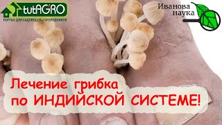 "НОГИ ИНДУСА" - СПОСОБ ПОЛНОГО ИЗЛЕЧЕНИЯ ГРИБКА НАТУРАЛЬНЫМИ СРЕДСТВАМИ!