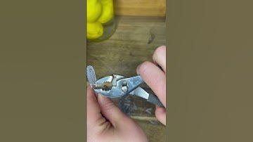 You definitely need to try this method! #toothbrush #LifeHack #reuse #repurpose #momhack #momhacks