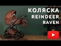 Коляска Reindeer Raven
